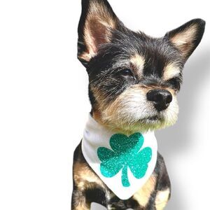 Louadore Shamrock Cutie Knit Dog Bandana White and Green